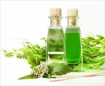 TOP 5 Essential Oils for Ringworm Treatment